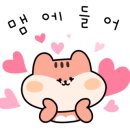 행복한민치과의원 Daum카페