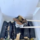 양정꼬마김밥