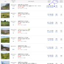 고산셀프주유소 Daum카페