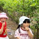 동부초교병설유치원 이미지