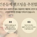 마이퀸의원 네이버블로그