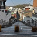 곰달래로 이미지