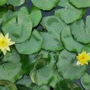 그때 그 펜션 이미지