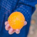 낭만농장 이미지