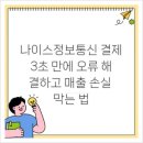 나이스정보통신 결제, 3초 만에 오류 해결하고 매출 손실 막는 법
