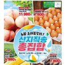 남창원농협농수산물종합유통센터 산지직송 총집합
