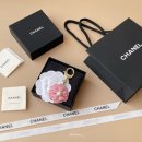 까멜리아 이미지