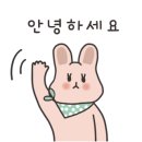 베베캣 고양이 이미지