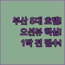 넘버25호텔 명지오션시티점 비즈니스 | 부산 강서구 신호 명지 호텔 5곳 청결도 오션뷰 조식 완벽 비교 분석