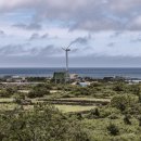 아담 스테이 이미지