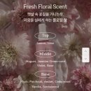 샤넬헤어 - 김해시 김해대로2715번길 15 | 벨라스타 헤어미스트 강력 추천! 샤넬향 사용후기
