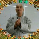 금 강  1 이미지