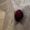 라파레메디의원 이미지