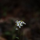 오치1동작은도서관 이미지