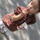 윤's플라워 이미지