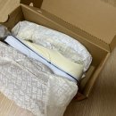 롯데대전반스