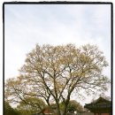 진주성관리사무소 이미지