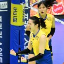 정지윤 카카오 검색결과