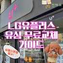 (주)대상군 | [짠테크] LG유플러스 유심 무료교체 후기 (대상조회·매장예약·교체 전후 체크리스트)