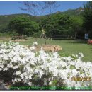 까치산근린공원 이미지