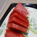 도담셀프주유소 이미지