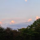 포천 한국 태권도장 이미지