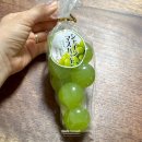 한천옥 | 찐 과일 같은 샤인머스캣 타마 요우칸/양갱 후기 (쿄호젤리인줄)