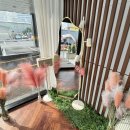 야당마을동물병원 이미지