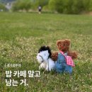 세븐일레븐 경기광주백마점 | 경기 광주 놀거리 데이트 고민? 모루인형 키링 만들기 공방 기기 (똥손 걱정 ㄴㄴ)