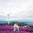 하늘바람별 | 2025 거창별바람언덕 후기, 드라이브코스와 산청숙소 추천
