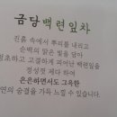 금당백련 이미지