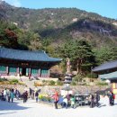 삼화사 - 성남시 수정구 | 삼화사