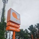 댕댕테이블 | 내돈내산 러블랑 댕댕파크 다녀온 솔직 후기