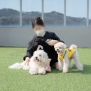 뭉티의 하루 네이버블로그