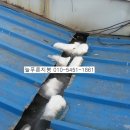 해오름주유소 이미지