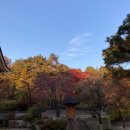 호암세월 | 루이즈 부르주아: 덧없고 영원한 (호암미술관)