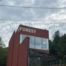 덕명로 | 대전 대형카페, 한밭대 카페 레포레스트 후기