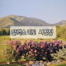 알렉스 키토(Alex Kittoe) 사진전 관람 후기 그라운드시소 이스트 전시
