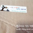 나무타는고양이 구경하는강아지 이미지