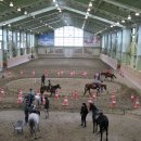 영천시운주산승마조련센터 이미지
