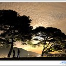 달빛연가 이미지