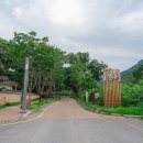 방촌역 3번 출입구 네이버블로그