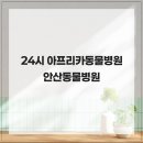 가야동물병원 네이버블로그