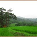 마암터농장 이미지