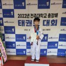 용인대 박사 태권도장 이미지