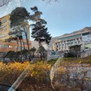 양산아이들병원 | 삼출성 중이염 튜브삽입 후 18개월, 양산부산대 어린이병원 경과 기록