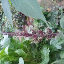 자연 농원 이미지