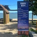 농부와바다 | [보성 맛집] 바다 앞에서 피크닉을 즐길 수 있는 곳 “농부와 바다” (주차정보/ 예약/ 애견동반)