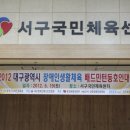2012 대구광역시 장애인생활체육 배드민턴동호인대회﻿(5.19) 이미지
