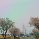 신안약국 이미지